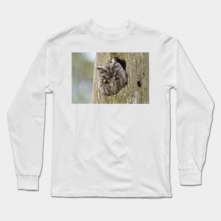 Sleeping Screech Owl Long Sleeve T-Shirt